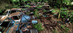 Mystère : un cimetière de voitures en pleine forêt belge