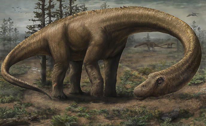 dreadnoughtus-schrani-nouveau-dinosaure-60-tonnes