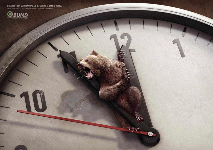 publicité choc animaux 60