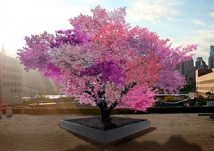 arbre fruitier hybride