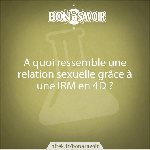 A quoi ressemble une relation sexuelle grâce à une IRM en 4D ?