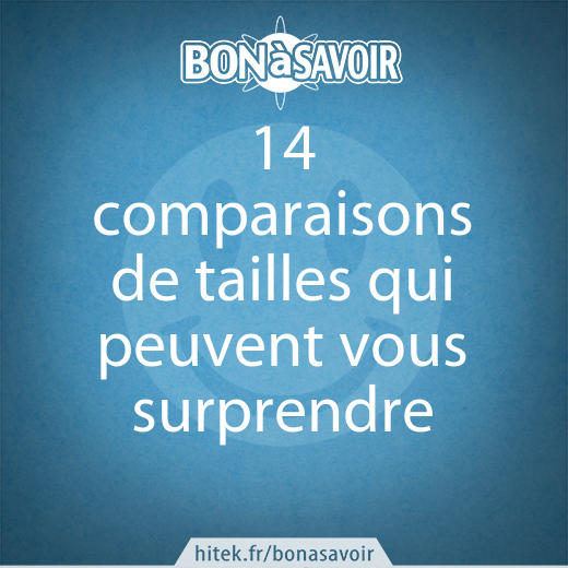 14 comparaisons de tailles qui peuvent vous surprendre