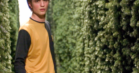Harry Potter : 4 choses sur Cedric Diggory que seuls les fans des livres savent