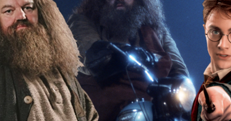 Harry Potter : 7 choses sur Hagrid que seuls les lecteurs savent