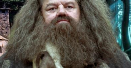 Harry Potter : pourquoi Hagrid a pu garder son secret pendant 50 ans