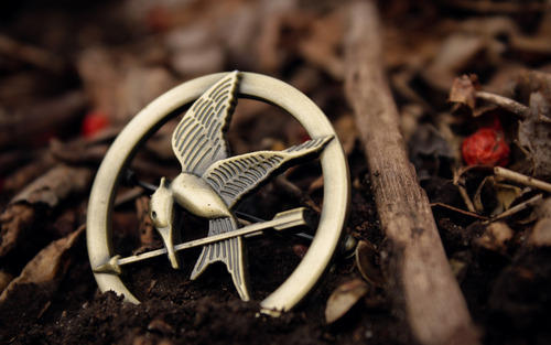 Hunger Games : La Révolte, Partie 2