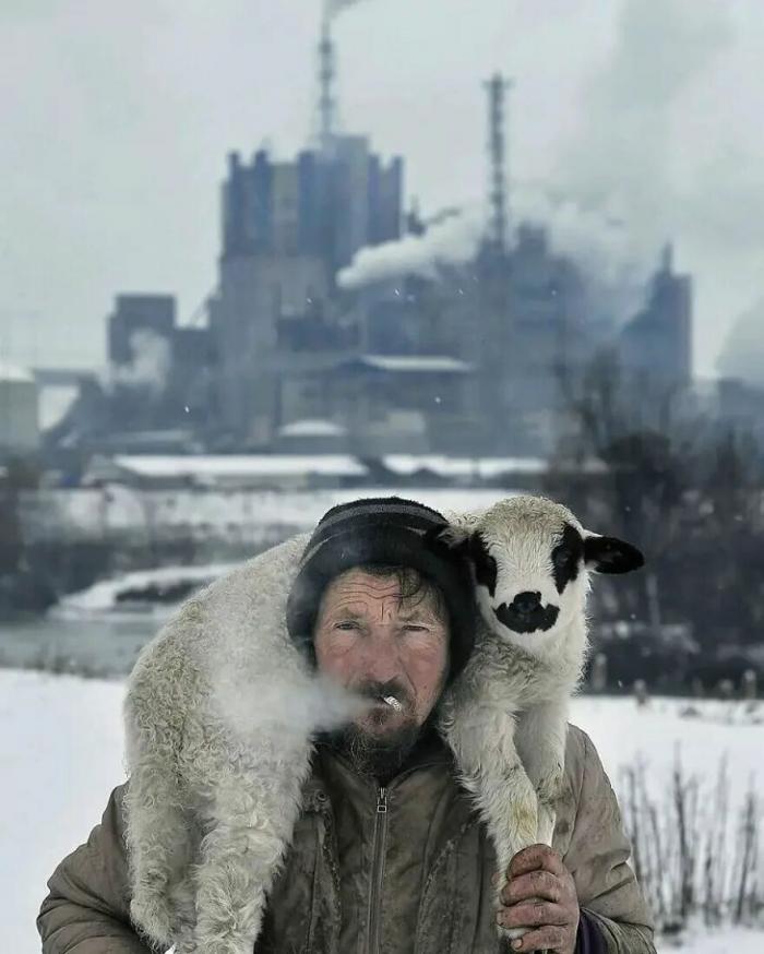 un homme avec un mouton sur le dos