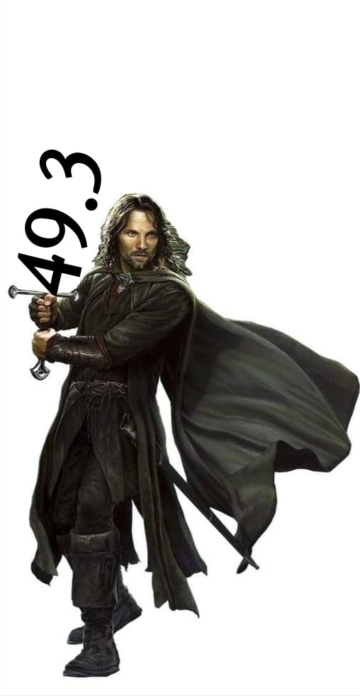 Aragorn avec le 49.3