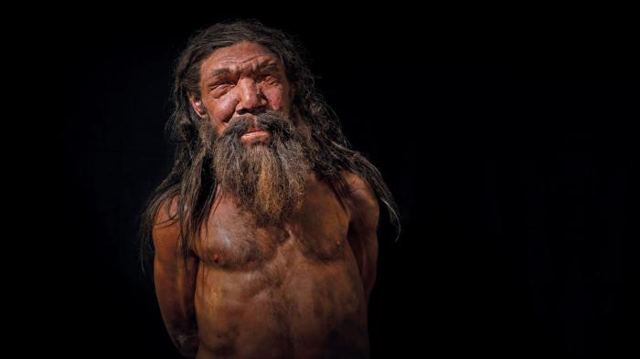 homme de néandertal