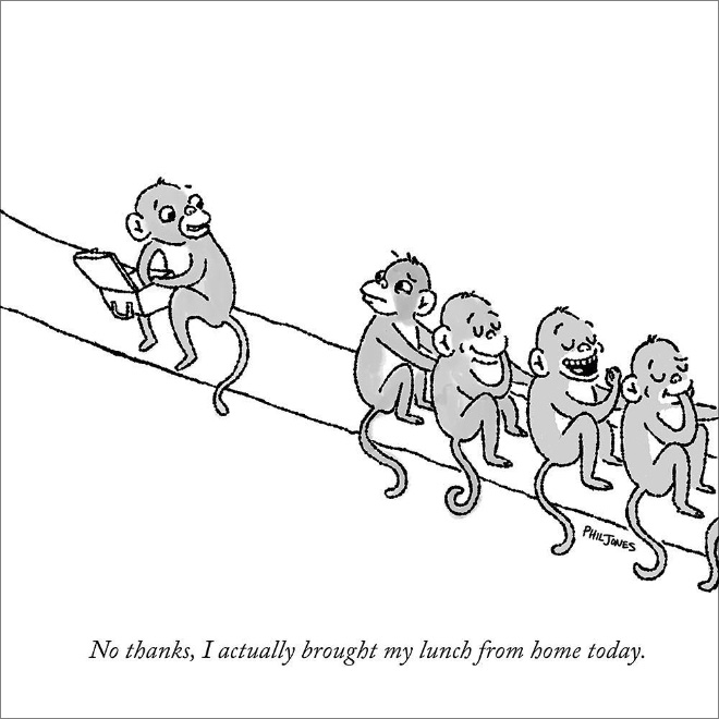 bande dessinée avec des singes
