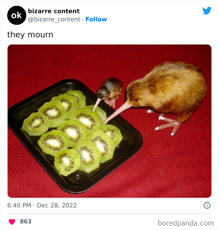 Kiwi qui en mange