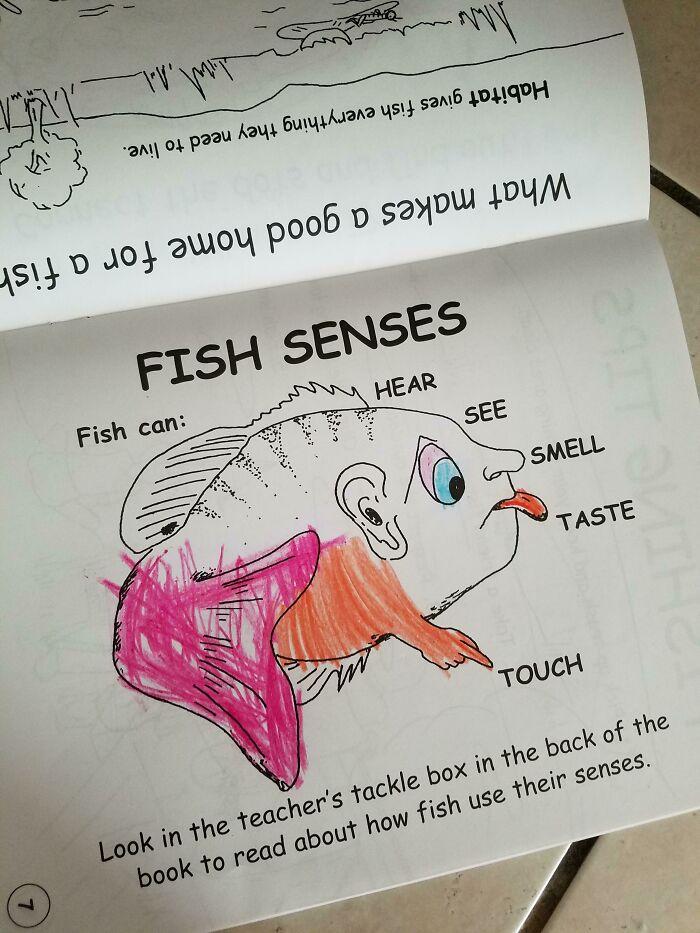 un poisson un dessus