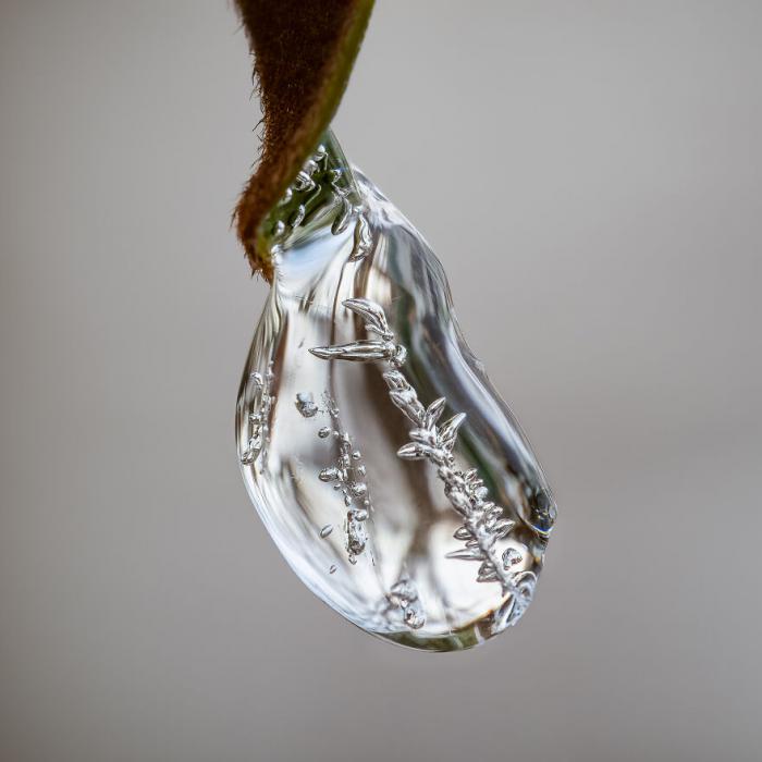 Ice Droplet par Morey Gers