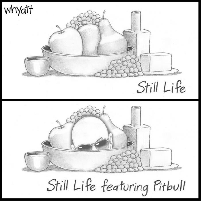 whyatt cartoons nature morte pitbull