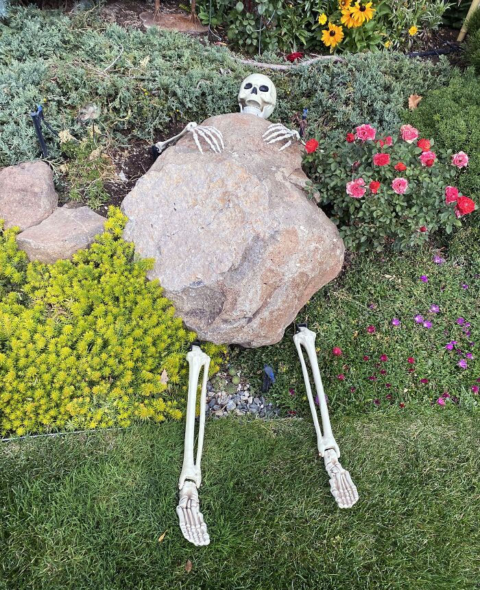 un squelette sous une pierre