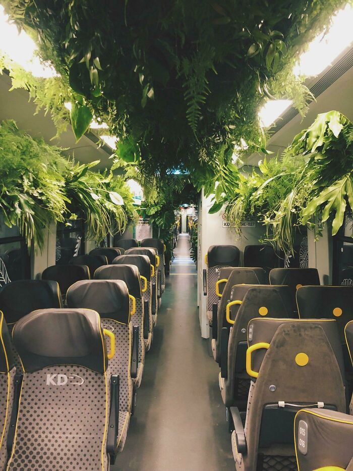 plante dans le train