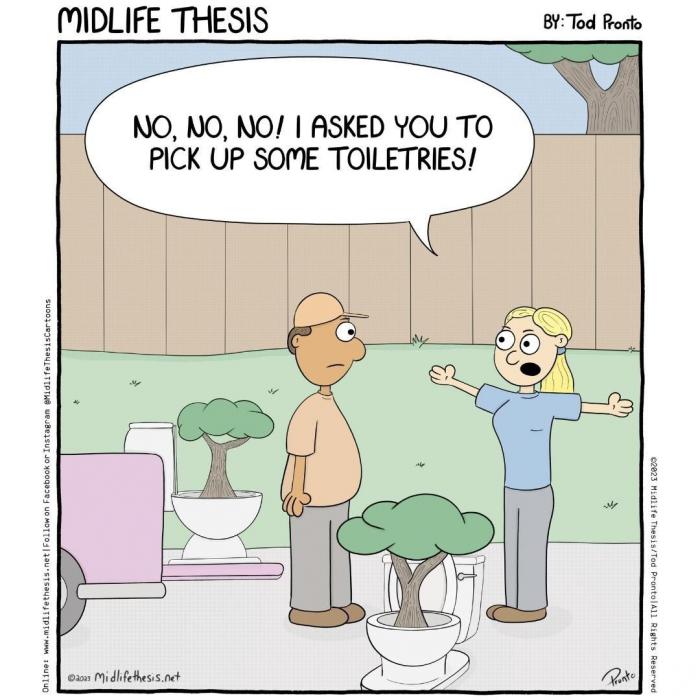midlife thesis toilettes
