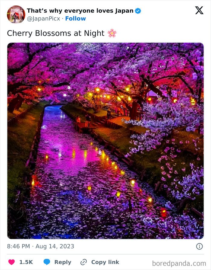 canal avec des cerisier