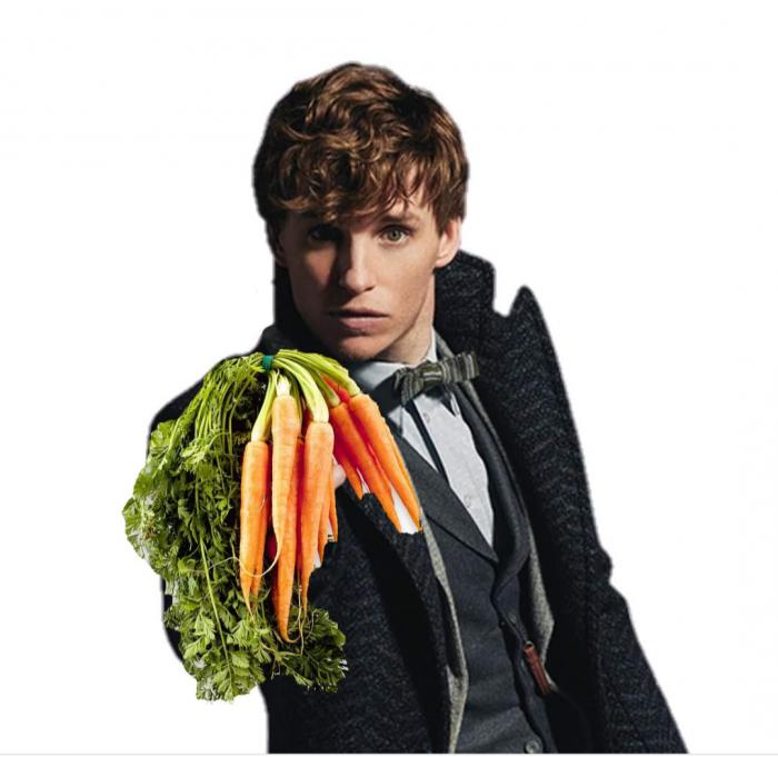 Norbert Dragonneau qui tient des carottes