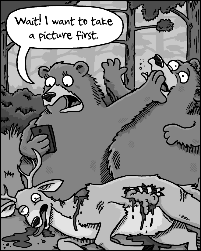 Une bande dessinée avec des ours