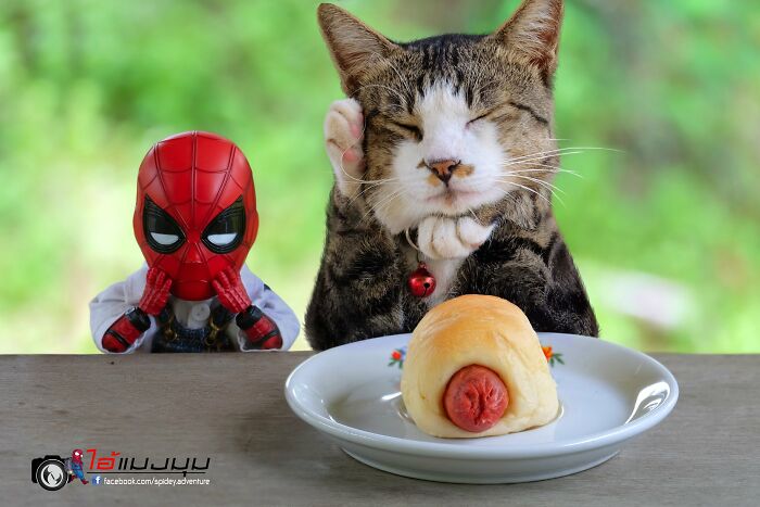 baby spiderman avec un hot dog