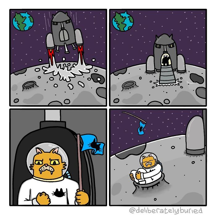 un chat sur la lune