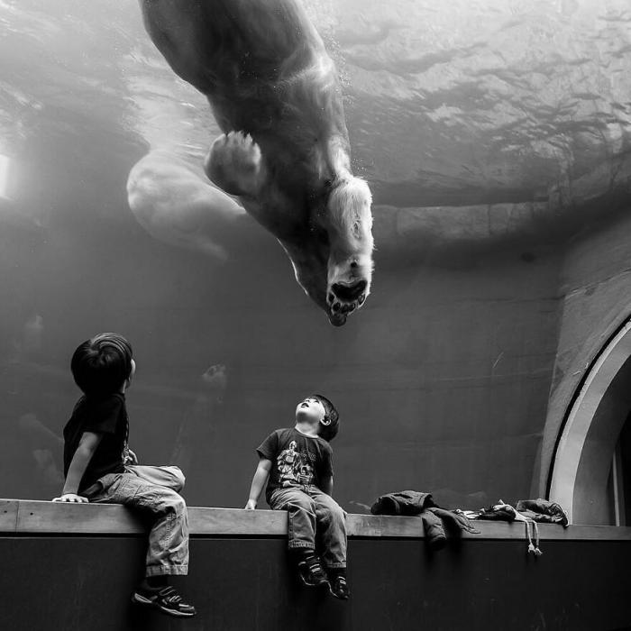 un aquarium avec des enfants