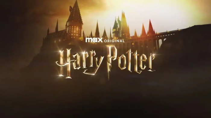 Teaser de la série Harry Potter sur Max