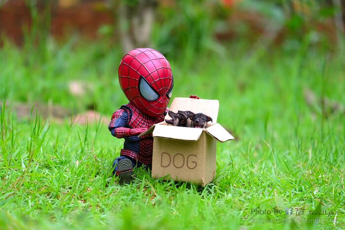 baby spiderman avec une boite