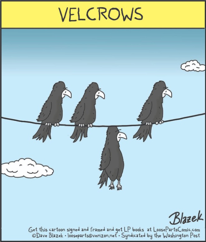 des oiseaux sur un fil