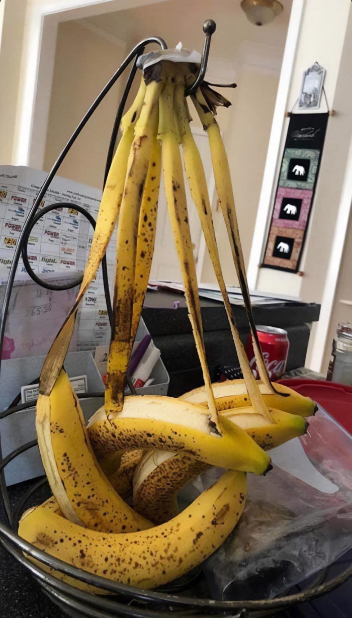 bananes suspendues