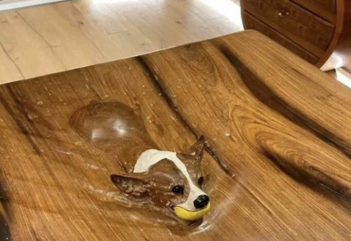 chien intégré à une table