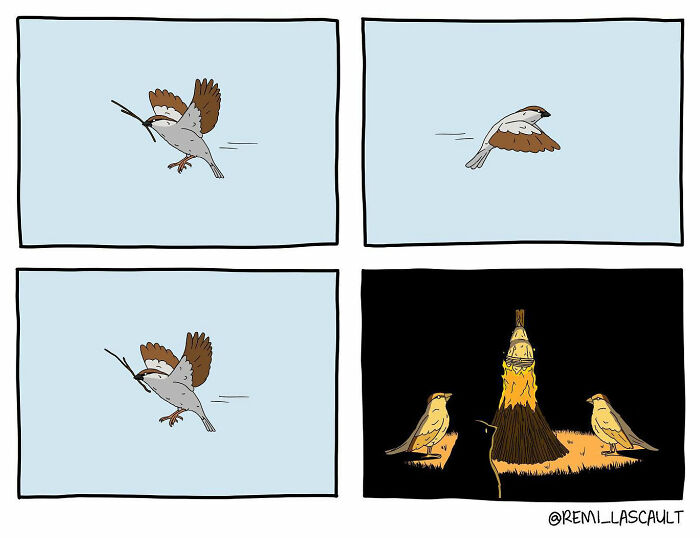 BD avec un oiseau