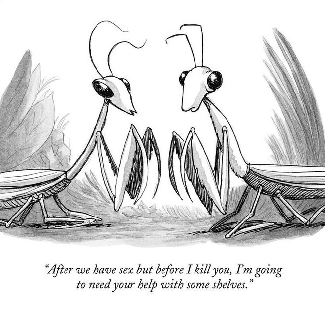deux insectes