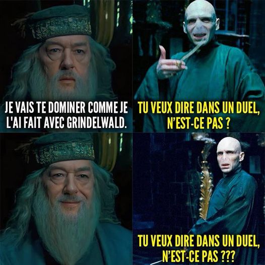 Dumbledore et Voldemort dans la saga Harry Potter