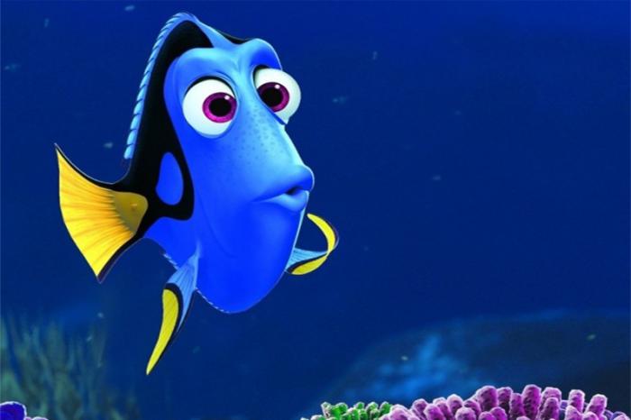 Dory