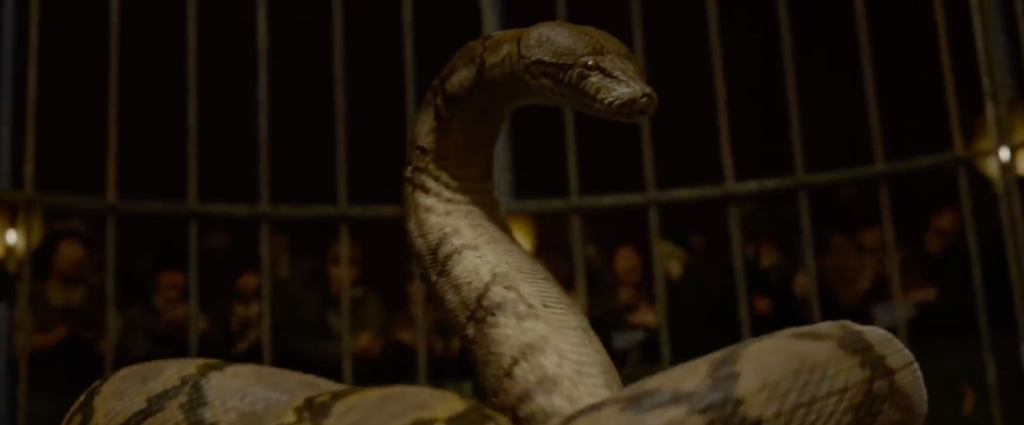 White Snake 2 Date De Sortie Les Animaux Fantastiques 2 : la bande-annonce finale confirme la