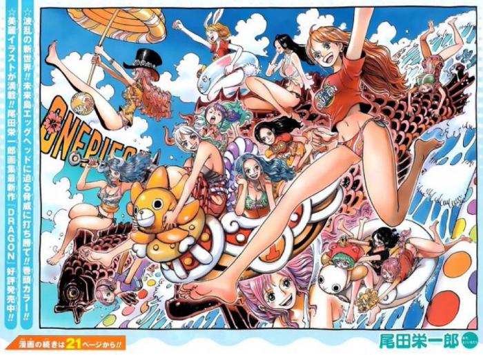 One Piece couverture