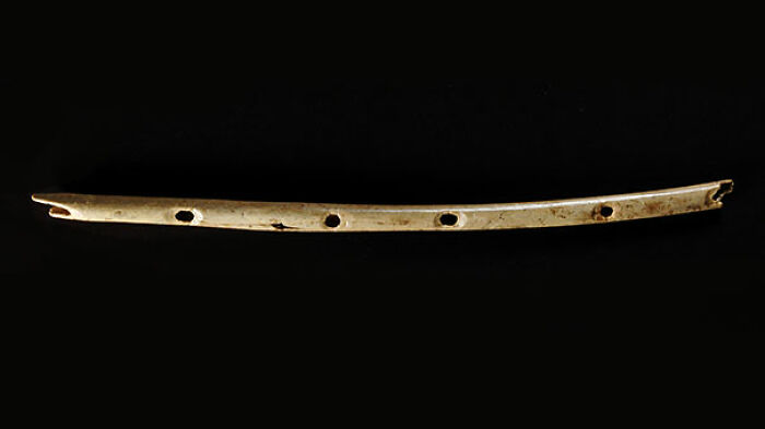 Instrument le plus ancien (40 000 ans)