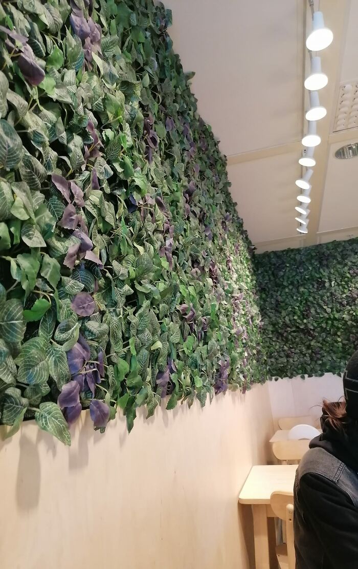 mur végétal