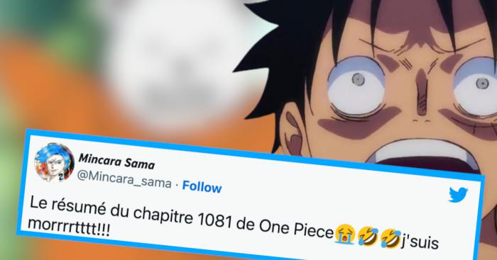 One Piece chapitre 1081