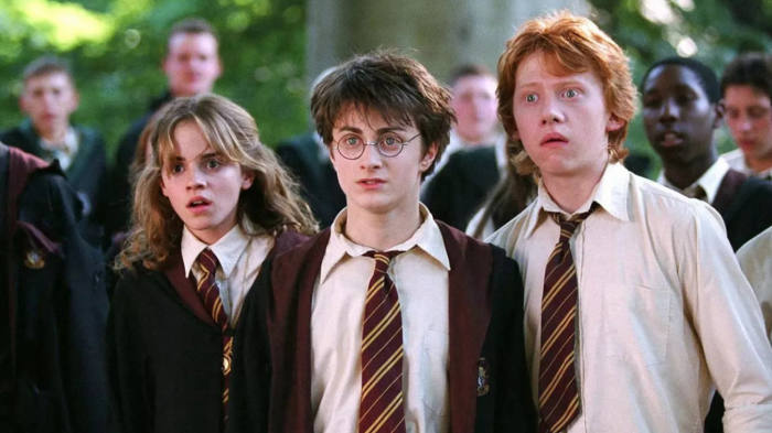 Hermion, Harry et Ron