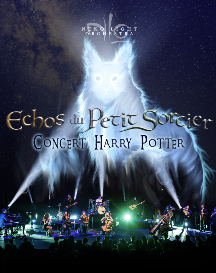 concert harry potter