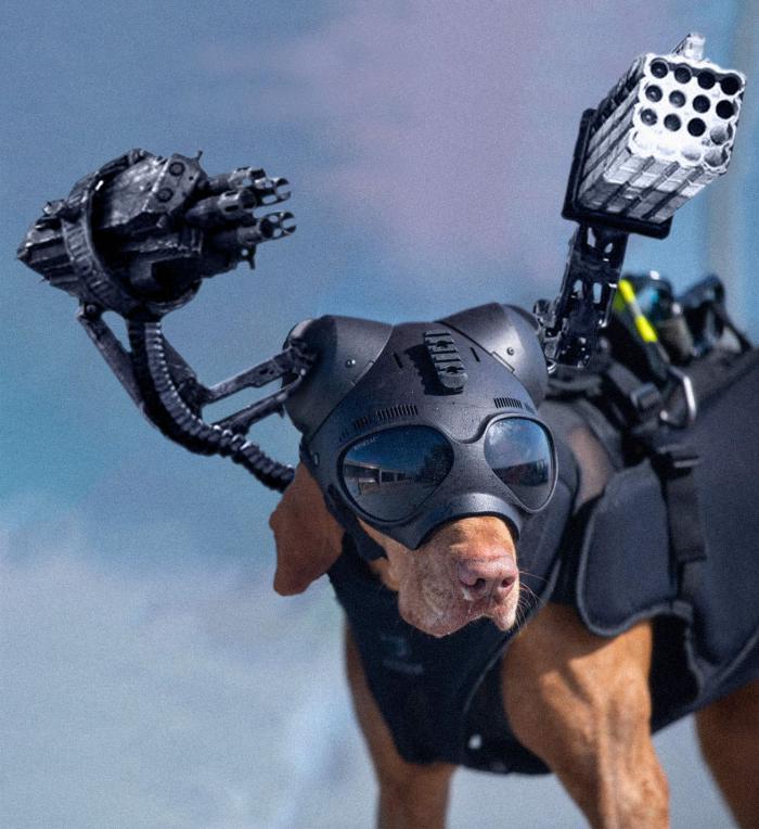 photoshop battle chien casque 10