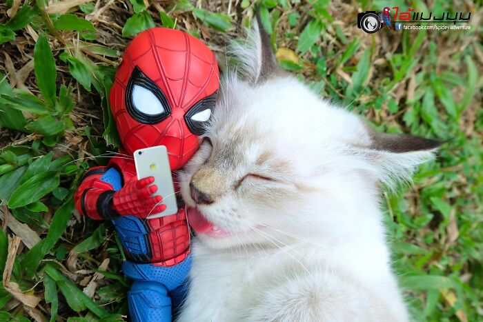baby spiderman un selfie