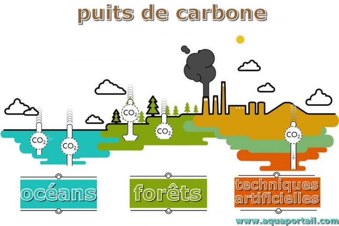puits de carbone