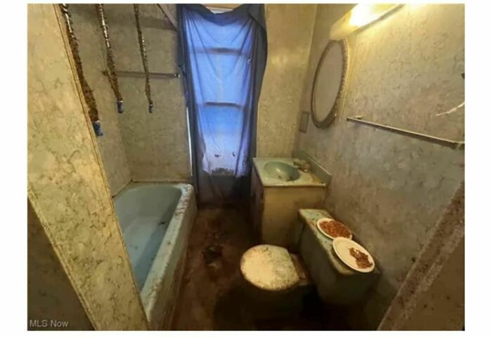 un wc abandonné