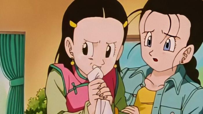 Dragon Ball GT, videl and chichi