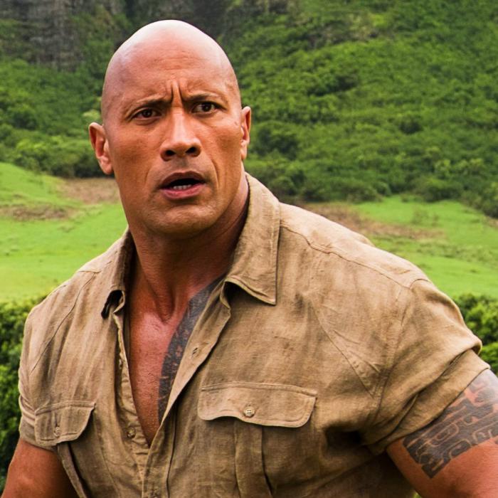 the rock jumanji