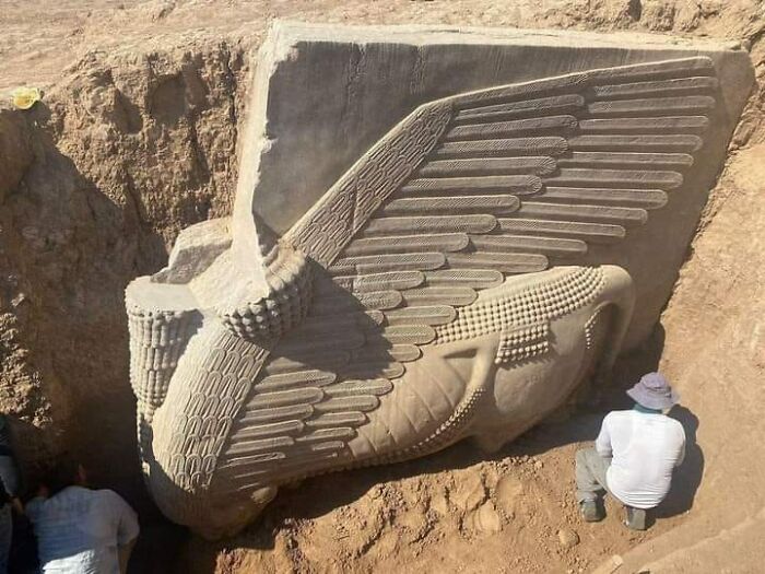 Nouvelle fouille de Lamassu, Kursbad, Irak ; divinité assyrienne représentée avec des éléments humains, aviaires et bovins ou léonins. La ville était une nouvelle capitale construite par le roi Sargon II en 721 av. J.-C.